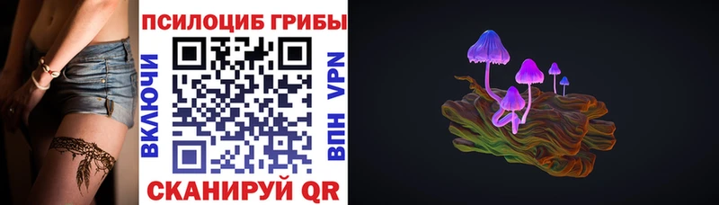блэк спрут вход  Покров  Галлюциногенные грибы Psilocybe 